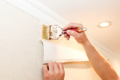Pose de papier peint à Dombras — revêtements muraux et toiles de verre
